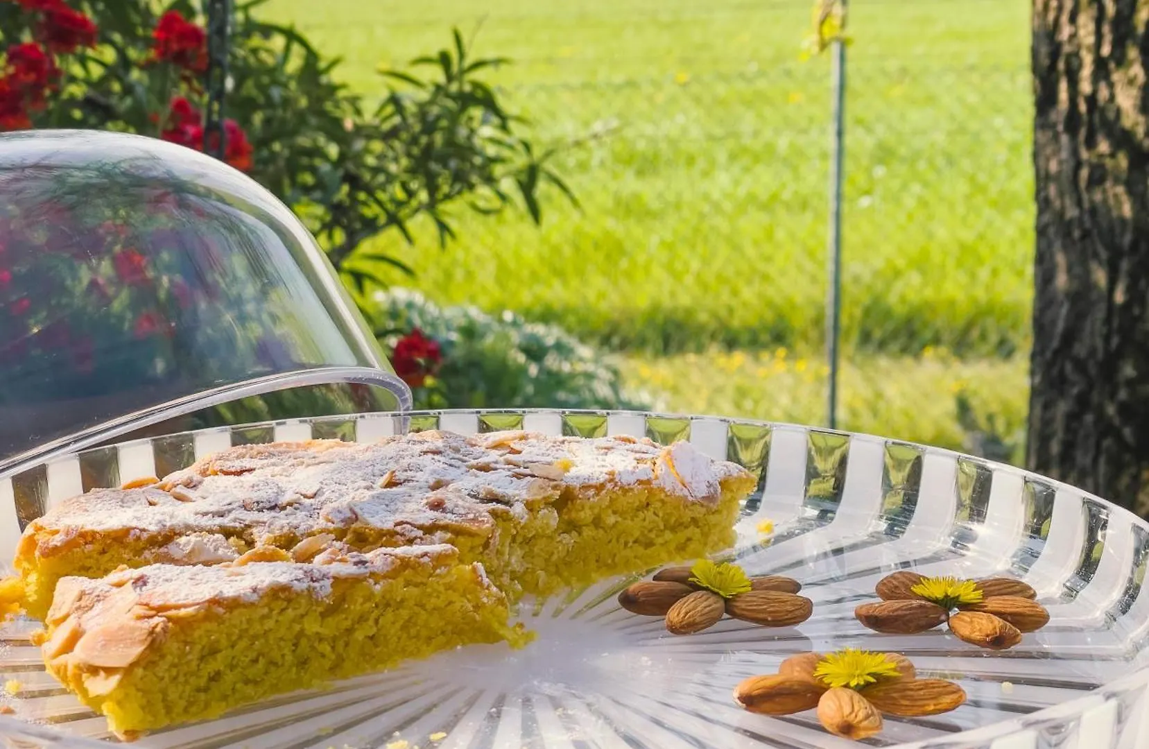 agriturismo il glicine bianco Monzambano