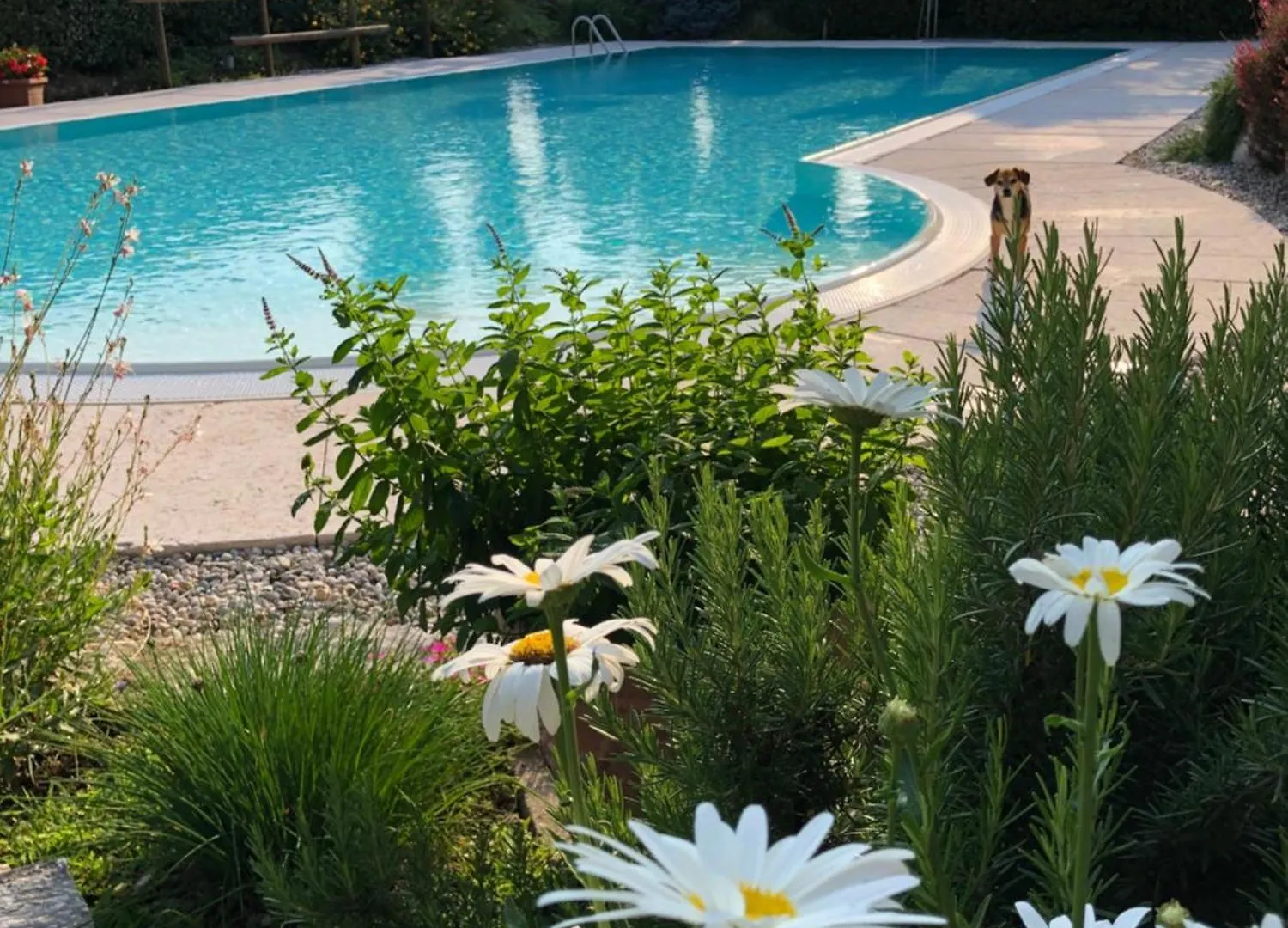 Alloggio per agriturismo agriturismo il glicine bianco Monzambano