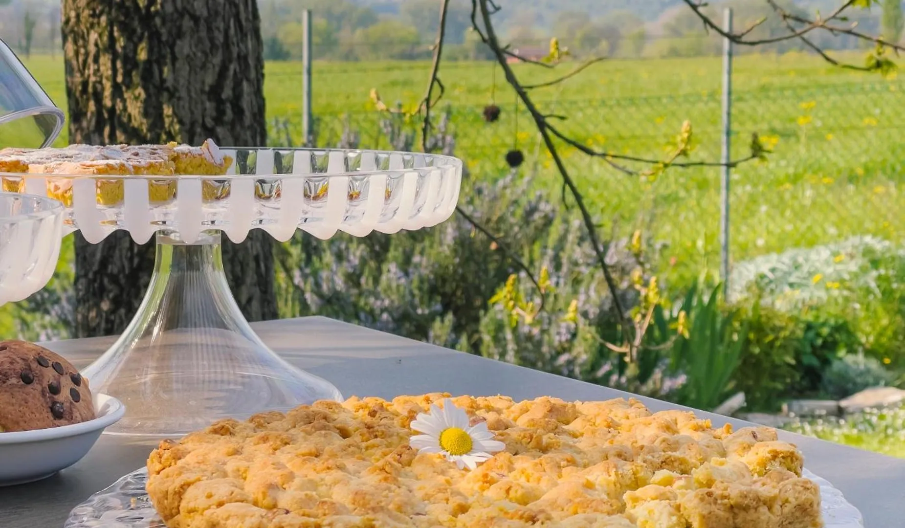 Alloggio per agriturismo agriturismo il glicine bianco Monzambano Italia
