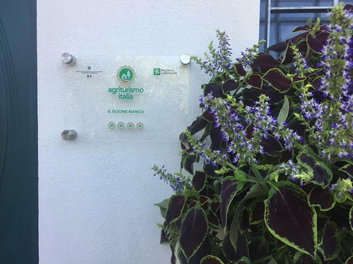 Alloggio per agriturismo agriturismo il glicine bianco Monzambano